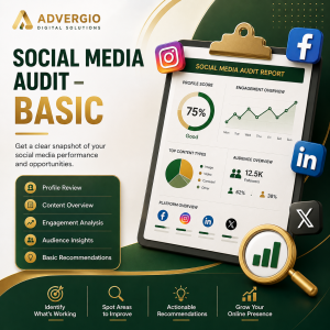 social media audit — basic